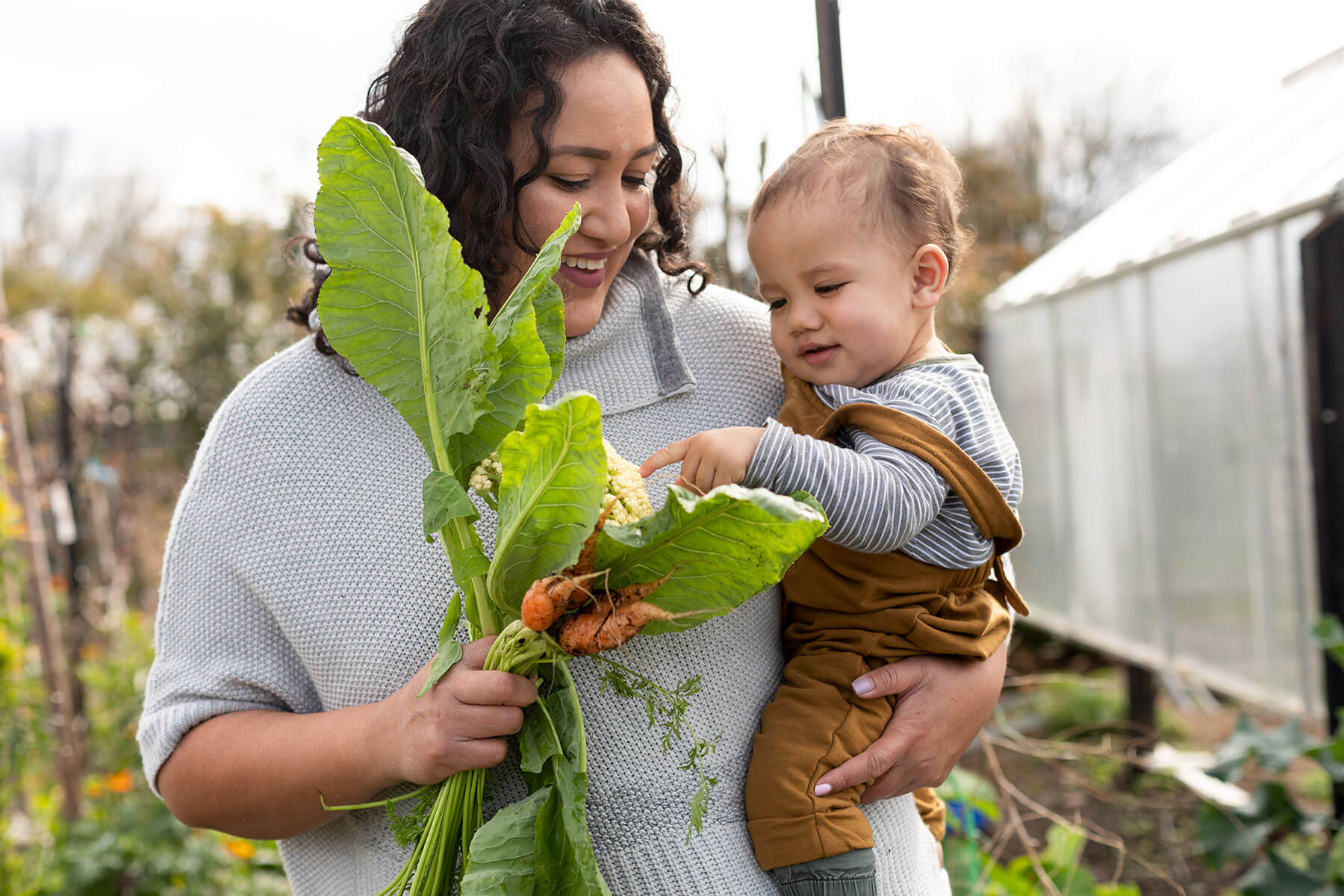 Colorado Access Foundation - Whole Person Health